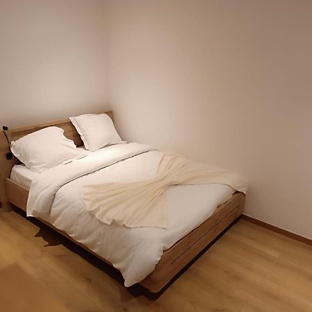 Fribourg Apartment Colmar Ngoại thất bức ảnh